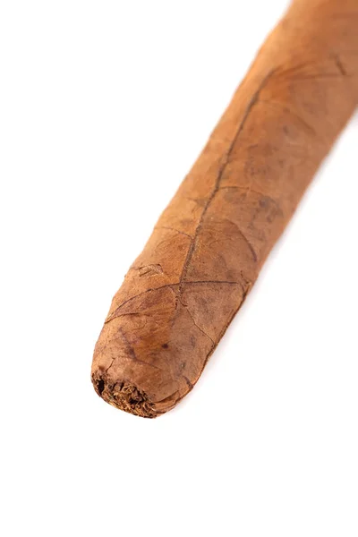 Kubanische Zigarre Nahaufnahme Isoliert Über Weißem Hintergrund — Stockfoto