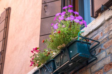 Windows Venedik'te çiçeklerle evler.