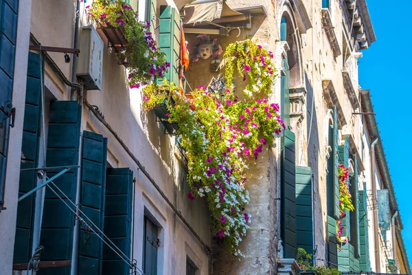 Σπίτια Λουλούδια Στα Παράθυρα Για Βενετία — Φωτογραφία Αρχείου