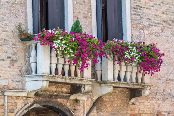 Дома Цветами Окнах Венеции — стоковое фото