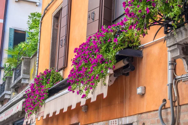 Casas Con Flores Las Ventanas Venecia —  Fotos de Stock