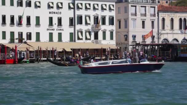 Veneza Itália 2018 Gôndolas Ônibus Veneza Grande Canal Itália — Vídeo de Stock