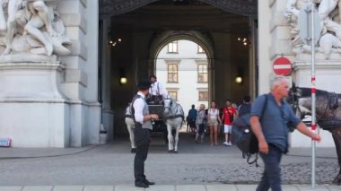 Viyana, Avusturya 19.08.2018 - eski Avrupa'nın turizm sektörü. Viyana Merkezi at Turları.