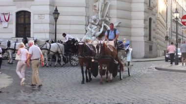 Viyana, Avusturya 19.08.2018 - eski Avrupa'nın turizm sektörü. Viyana Merkezi at Turları.