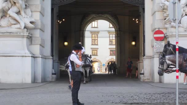 Wiedeń Austria 2018 Branży Turystycznej Starej Europy Wycieczki Konne Wiedniu — Wideo stockowe