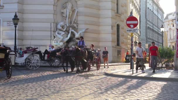 Viena Austria 2018 Industria Turística Vieja Europa Paseos Caballo Por — Vídeo de stock