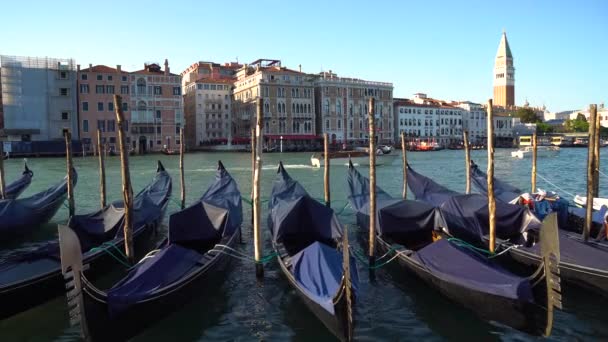 Venedig Italien 2018 Gondeln Und Busse Venedig Dem Großen Kanal — Stockvideo