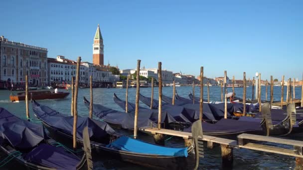 Venedig Italien 2018 Gondeln Und Busse Venedig Dem Großen Kanal — Stockvideo