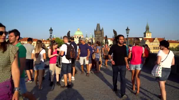 Praga República Checa 2018 Multitud Personas Caminando Por Puente Carlos — Vídeos de Stock