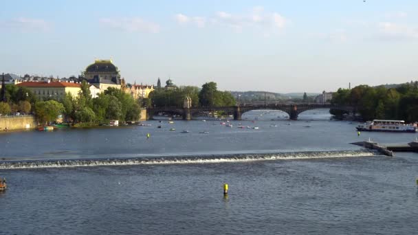 Prag Tjeckien 2018 Vltava Floden Sommar Dag Turbåtar Och Sightseeing — Stockvideo