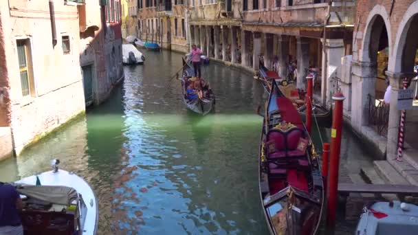 Venedig Italien 2018 Gondel Mit Touristen Den Engen Kanälen Venedigs — Stockvideo