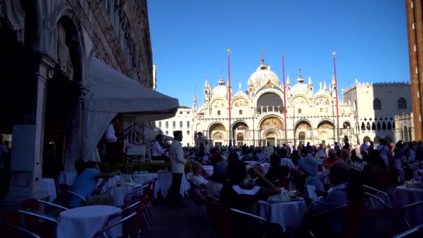 Венеція Італія 2018 Марко San Marco Площі Сан Марко Основним — стокове відео