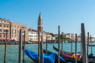 Campanile di San Marco ve Canal Grande ile condolas Venedik, İtalya.