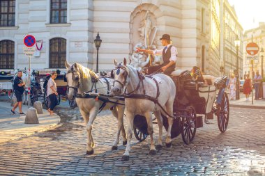 Vienna, Avusturya - 19.08.2018: Atlı arabası veya Fiaker, popüler turistik cazibe, Viyana'da Michaelerplatz.