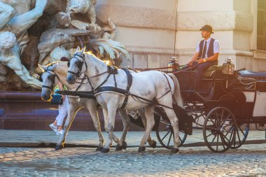 Vienna, Avusturya - 19.08.2018: Atlı arabası veya Fiaker, popüler turistik cazibe, Viyana'da Michaelerplatz.