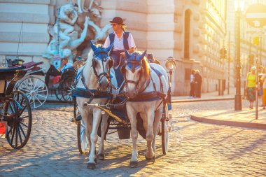 Vienna, Avusturya - 19.08.2018: Atlı arabası veya Fiaker, popüler turistik cazibe, Viyana'da Michaelerplatz.
