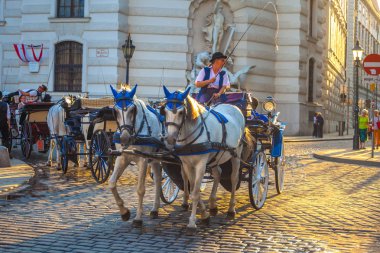 Vienna, Avusturya - 19.08.2018: Atlı arabası veya Fiaker, popüler turistik cazibe, Viyana'da Michaelerplatz.