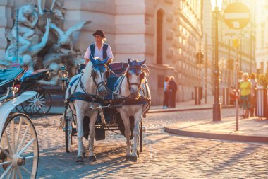 Vienna, Austria - 19.08.2018: Horse-drawn carriage or Fiaker, popular tourist attraction, on Michaelerplatz in Vienna. clipart
