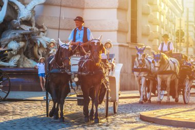 Vienna, Avusturya - 19.08.2018: Atlı arabası veya Fiaker, popüler turistik cazibe, Viyana'da Michaelerplatz.