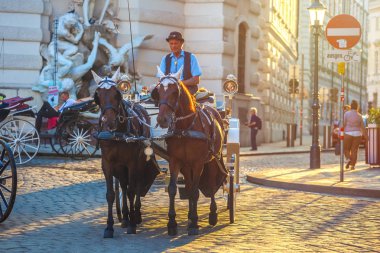 Vienna, Avusturya - 19.08.2018: Atlı arabası veya Fiaker, popüler turistik cazibe, Viyana'da Michaelerplatz.