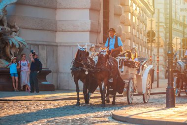 Vienna, Avusturya - 19.08.2018: Atlı arabası veya Fiaker, popüler turistik cazibe, Viyana'da Michaelerplatz.