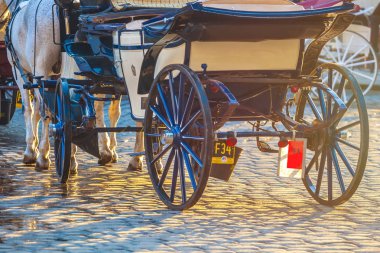 Vienna, Avusturya - 19.08.2018: Atlı arabası veya Fiaker, popüler turistik cazibe, Viyana'da Michaelerplatz.