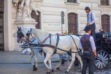 Vienna, Avusturya - 19.08.2018: Atlı arabası veya Fiaker, popüler turistik cazibe, Viyana'da Michaelerplatz.