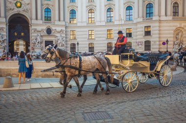 Vienna, Avusturya - 19.08.2018: Atlı arabası veya Fiaker, popüler turistik cazibe, Viyana'da Michaelerplatz.