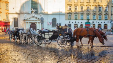 Vienna, Avusturya - 19.08.2018: Atlı arabası veya Fiaker, popüler turistik cazibe, Viyana'da Michaelerplatz.