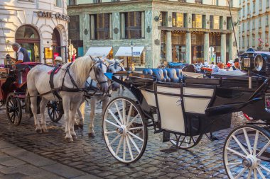 Vienna, Avusturya - 19.08.2018: Atlı arabası veya Fiaker, popüler turistik cazibe, Viyana'da Michaelerplatz.