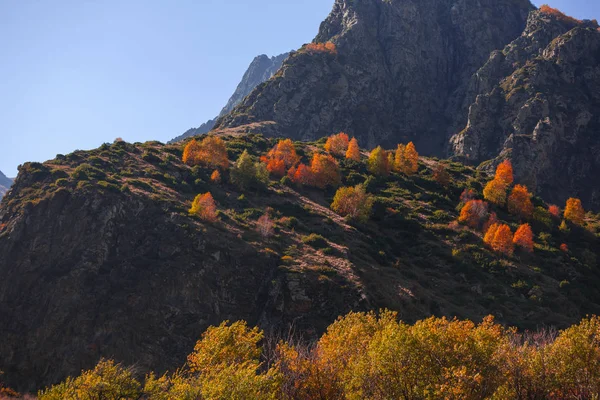 Paysage Automne Coloré Dans Les Montagnes Caucase Forêt Colorée Kazbegi — Photo