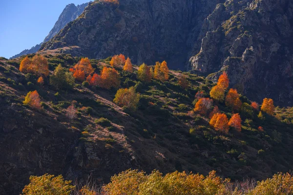 Paysage Automne Coloré Dans Les Montagnes Caucase Forêt Colorée Kazbegi — Photo