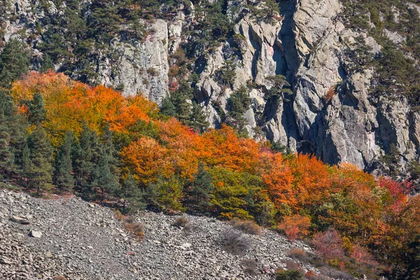 カラフルなコーカサス山脈の秋風景 カズベギ ジョージア州のカラフルな森 — ストック写真