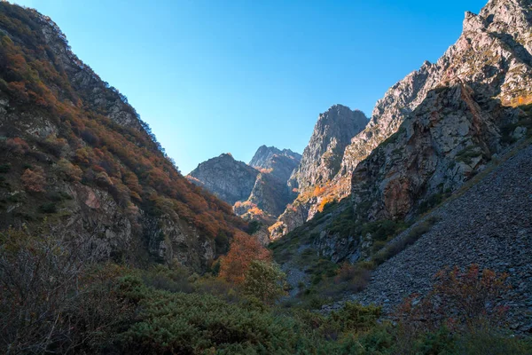 Colorful Autumn Landscape Caucasus Mountains Colorful Forest Kazbegi Georgia — Stock Photo, Image