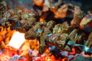 Ormandaki Kebab pişirme. Duman ile kömür ızgara domuz etinin.