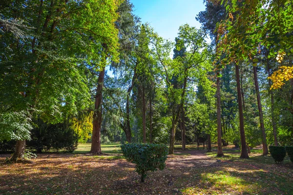 Una Vista Del Jardín Casa Museo Alexander Chavchavadze Tsinandali Georgia — Foto de Stock
