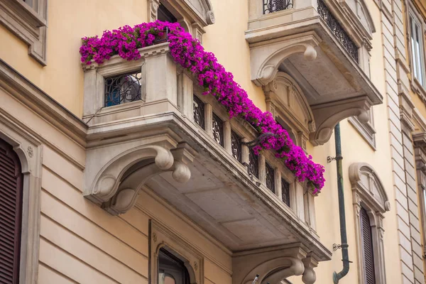 Domy Květy Oknech Miláně Itálie — Stock fotografie