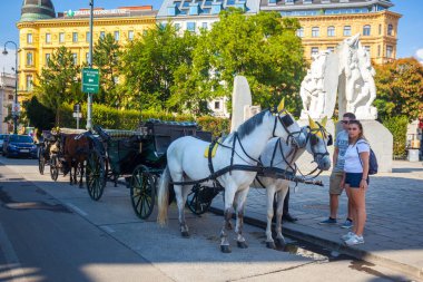 Vienna, Avusturya - 19.08.2018: Fiaker at arabası için turistlerin Viyana, Avusturya.