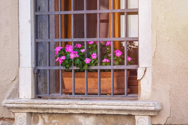 Hus Med Blommor Fönstren Venedig — Stockfoto