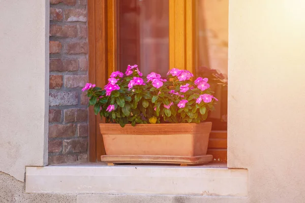 Hus Med Blommor Fönstren Venedig — Stockfoto