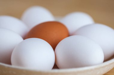 Bir seramik tabak ahşap bir masa üzerinde bir kahverengi ve beyaz yumurta.