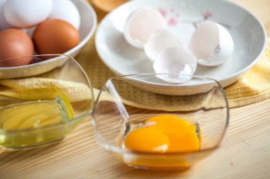 ayrı yumurta beyaz ve sarısı, yumurta kabukları, arka.