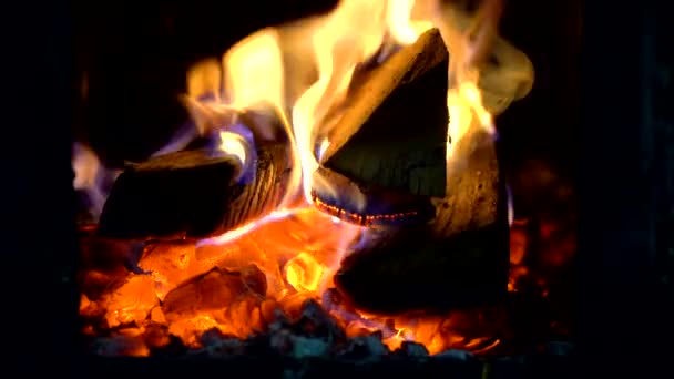 Wood Stove Burning Private House — Stock Video