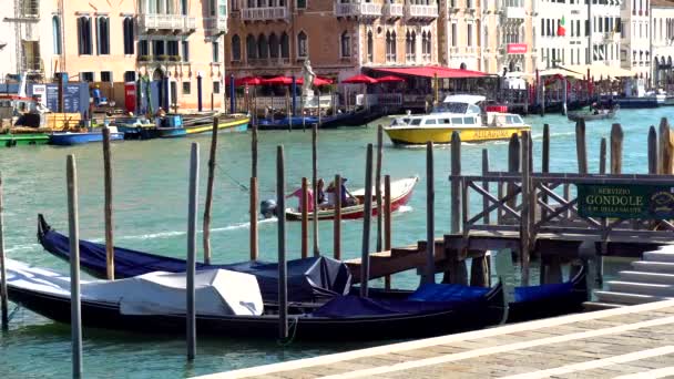 Venedig Italien 2018 Gondoler Och Bussar Venedigs Grand Canal — Stockvideo