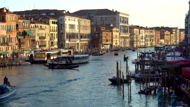 Veneza Itália 2018 Gôndolas Ônibus Veneza Grande Canal Itália — Vídeo de Stock