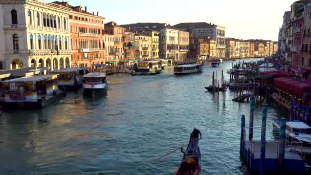 Veneza Itália 2018 Gôndolas Ônibus Veneza Grande Canal Itália — Vídeo de Stock