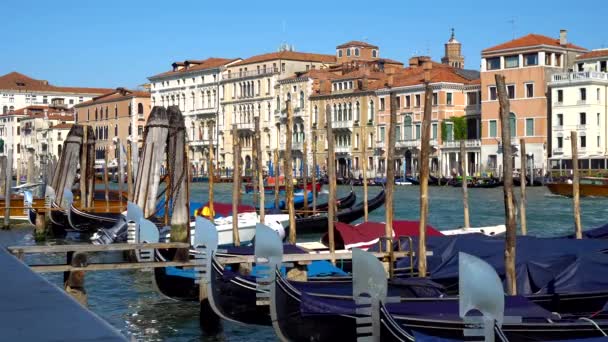 Venecia Italia 2018 Góndolas Autobuses Venecia Gran Canal Italia — Vídeo de stock
