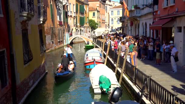 ヴェネツィア イタリア 2018 ゴンドラ ベニスの映像素材の狭い運河の観光客に — ストック動画