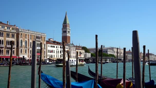 Venedig Italien 2018 Gondeln Und Busse Venedig Dem Großen Kanal — Stockvideo