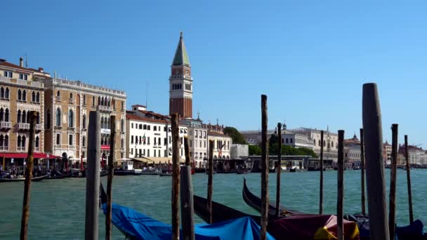 ヴェネツィア イタリア 2018 ゴンドラやバスで ヴェネツィアの大運河 — ストック動画